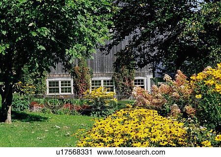 Wild garden with barn in background View Large Photo Image Stock Image - Wild garden with barn in background. Fotosearch
