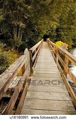 Stock Image - Wooden bridge in a forest. Fotosearch