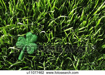 Stock Image - 3 leaf clover in the grass. Fotosearch