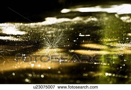 A a piece of dandelion fluff on a puddle View Large Photo Image Stock Photo - A a piece of dandelion fluff on a puddle. Fotosearch