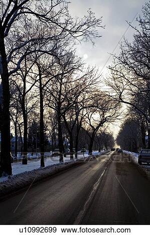 Stock Photo - A city road in winter. Fotosearch
