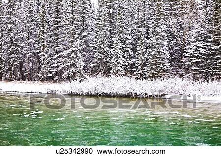 A tree-lined river in the winter View Large Photo Image Stock Image - A tree-lined river in the winter. Fotosearch