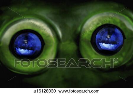 Alien eyes View Large Photo Image Stock Image - Alien eyes. Fotosearch