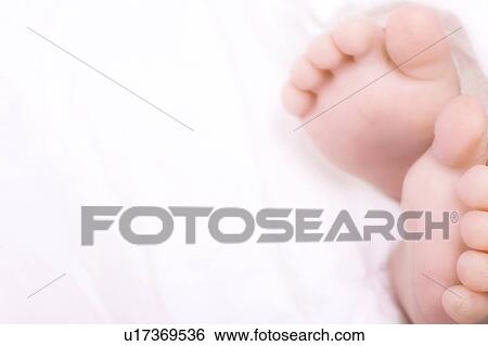 Stock Photograph - Baby feet. Fotosearch