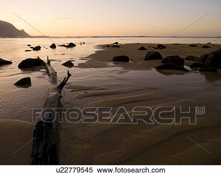 Beach with driftwood and rocks, Kaui, Hawaii View Large Photo Image Stock Photography - Beach with driftwood and rocks, Kaui, Hawaii. Fotosearch