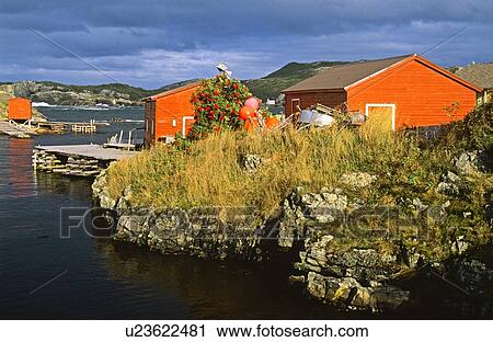 Boat Houses in the fishing village of Salvage, Newfoundland, Canada View Large Photo Image Stock Image - Boat Houses in the fishing village of Salvage, Newfoundland, Canada. Fotosearch