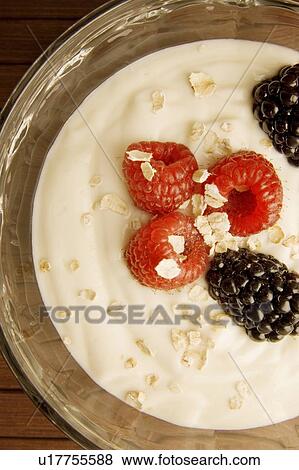 Bowl of yogurt and berries View Large Photo Image Stock Photo - Bowl of yogurt and berries. Fotosearch