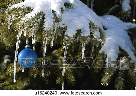 Stock Image - Christmas ornament on snowy tree branch. Fotosearch