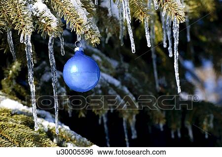 Stock Photograph - Christmas ornament on tree branch with icicles. Fotosearch