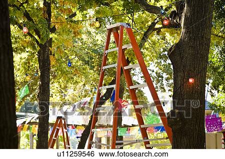 Decorating for an outdoor party View Large Photo Image Stock Photograph - Decorating for an outdoor party. Fotosearch