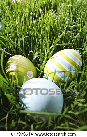 Picture - Easter eggs in the grass. Fotosearch