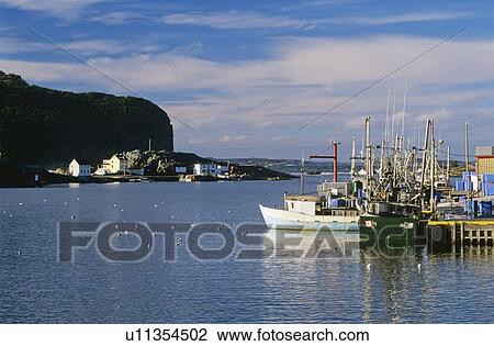 Fishing boats, Salvage, Newfoundland View Large Photo Image Stock Image - Fishing boats, Salvage, Newfoundland. Fotosearch