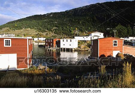 Fishing village of Salvage, Newfoundland, Canada View Large Photo Image Stock Photography - Fishing village of Salvage, Newfoundland, Canada. Fotosearch