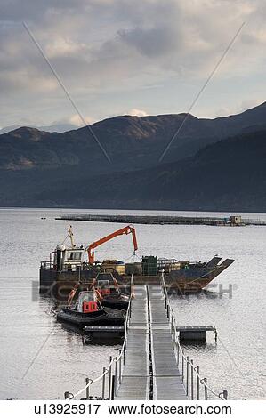 Stock Photo - Fishnish ferry terminal, Isle of Mull, Scotland. Fotosearch