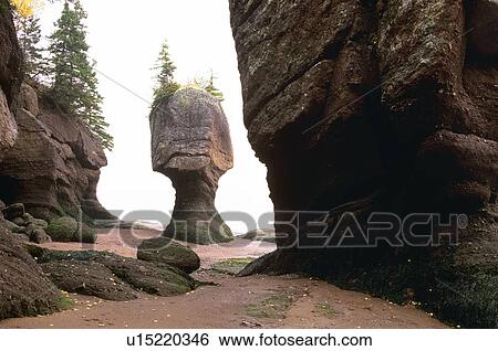 Stock Photograph - Flowerpot rock, Hopewell Rocks, Shepody Bay, New Brunswick, Canada. Fotosearch