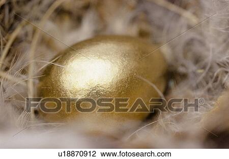 Stock Image - Golden egg. Fotosearch