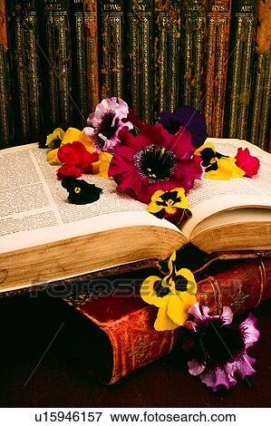 Stock Photo - Historic books and floral arrangement. Fotosearch