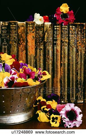 Historic books and floral arrangement View Large Photo Image Stock Photo - Historic books and floral arrangement. Fotosearch