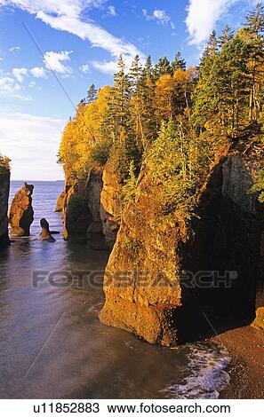 Stock Image - Hopewell Rocks, Shepody Bay, New Brunswick, Canada . Fotosearch
