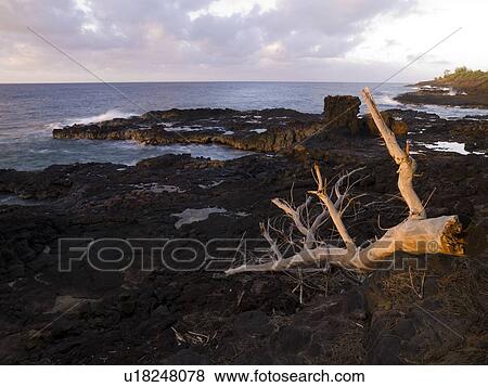 Kauai, Hawaii View Large Photo Image Stock Photo - Kauai, Hawaii . Fotosearch