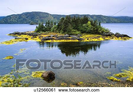 Lake near Swift Current, Burin Peninsula, Newfoundland, Canada View Large Photo Image Stock Image - Lake near Swift Current, Burin Peninsula, Newfoundland, Canada. Fotosearch