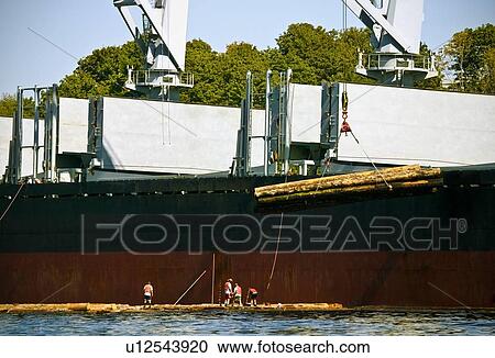 Logging industry View Large Photo Image Stock Image - Logging industry. Fotosearch