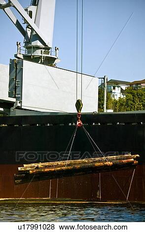 Logging industry View Large Photo Image Stock Photo - Logging industry. Fotosearch