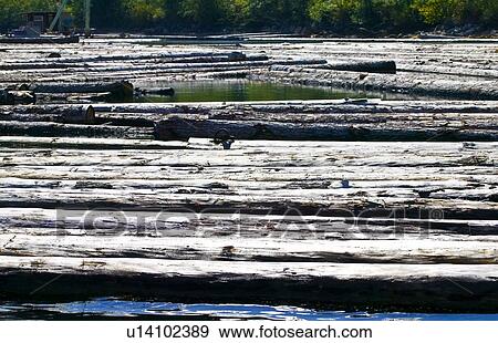 Stock Photo - Logs floating in water. Fotosearch