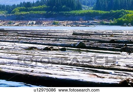 Stock Photograph - Logs in water. Fotosearch