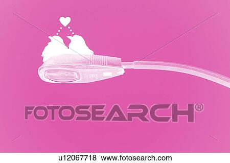 Stock Photo - Love birds. Fotosearch