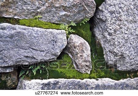 Machu Picchu, Peru, South America, close up of Incan Stonemasonry View Large Photo Image Picture - Machu Picchu, Peru, South America, close up of Incan Stonemasonry. Fotosearch