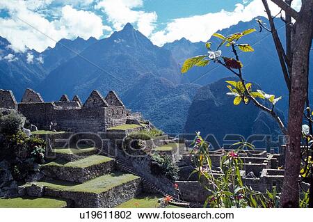 Machu Picchu, Peru, South America, pre-Columbian historical site View Large Photo Image Stock Image - Machu Picchu, Peru, South America, pre-Columbian historical site. Fotosearch