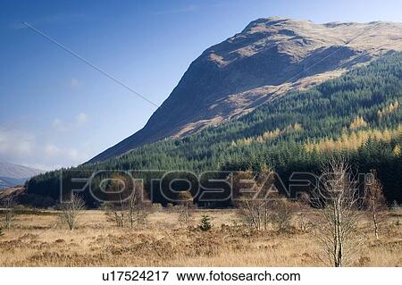 Mountainside, Scotland View Large Photo Image Stock Photo - Mountainside, Scotland. Fotosearch