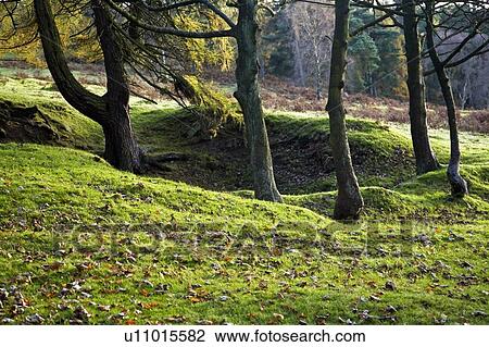 Stock Image - Peak District National Park, Derbyshire, England. Fotosearch