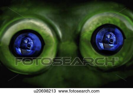 Reflection of a screaming person in alien eyes View Large Photo Image Stock Image - Reflection of a screaming person in alien eyes. Fotosearch