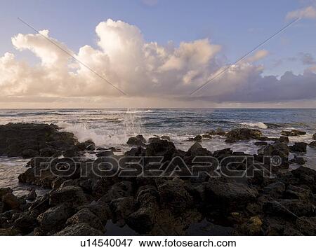 Rocks on the shore, Poipu, Kauai, Hawaii View Large Photo Image Stock Photo - Rocks on the shore, Poipu, Kauai, Hawaii. Fotosearch
