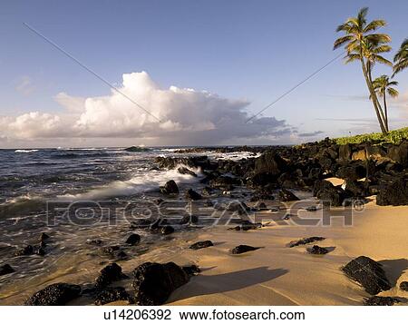 Stock Image - Rocky beach, Poipu, Kauai, Hawaii. Fotosearch