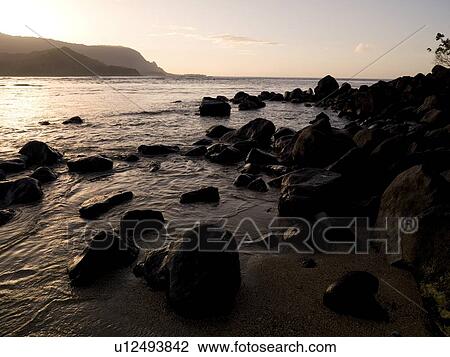 Rocky shore, Kaui, Hawaii View Large Photo Image Stock Image - Rocky shore, Kaui, Hawaii . Fotosearch