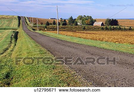 Rural road along farms in Hampton, Prince Edward Island, Canada View Large Photo Image Stock Image - Rural road along farms in Hampton, Prince Edward Island, Canada. Fotosearch