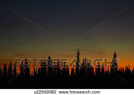 Scenic landscape, NWT, Canada View Large Photo Image Stock Image - Scenic landscape, NWT, Canada. Fotosearch
