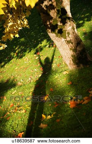 Shadow of person with arms raised View Large Photo Image Stock Photo - Shadow of person with arms raised. Fotosearch