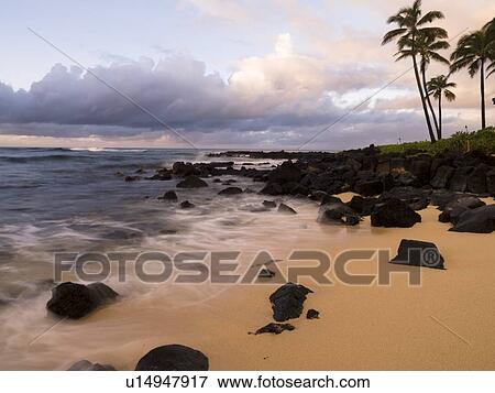 Shoreline, Poipu, Kauai, Hawaii View Large Photo Image Stock Photo - Shoreline, Poipu, Kauai, Hawaii. Fotosearch