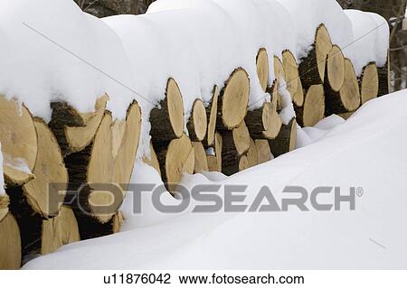 Snow covered logs View Large Photo Image Stock Image - Snow covered logs. Fotosearch