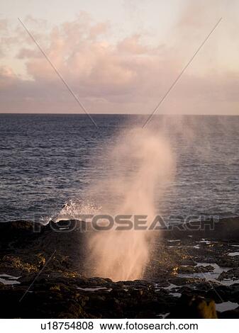 Spouting Horn, Kauai, Hawaii View Large Photo Image Stock Photo - Spouting Horn, Kauai, Hawaii . Fotosearch