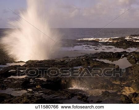 Spouting Horn, Kauai, Hawaii  View Large Photo Image Stock Photograph - Spouting Horn, Kauai, Hawaii . Fotosearch