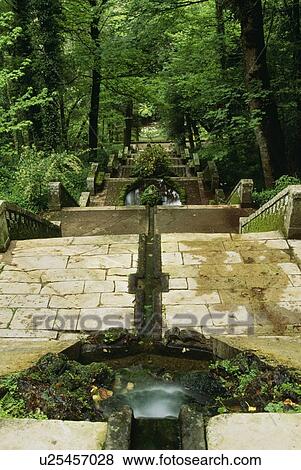 Stock Photo - Steps in Bucaco National Park, Portugal. Fotosearch