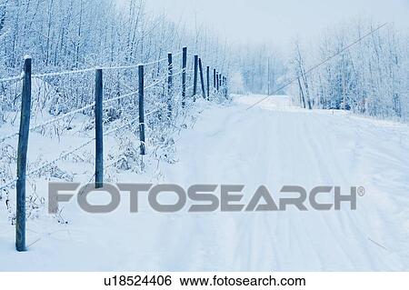 Tracks in the snow by a fence View Large Photo Image Stock Photograph - Tracks in the snow by a fence. Fotosearch