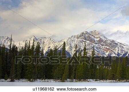 Trees and mountain scene View Large Photo Image Stock Image - Trees and mountain scene. Fotosearch