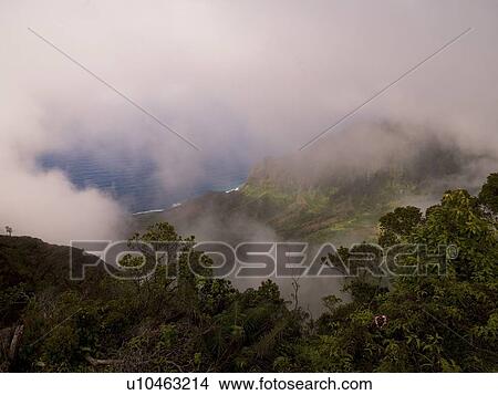 Picture - Waimea Canyon State Park, Kauai, Hawaii . Fotosearch