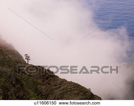 Waimea Canyon State Park, Kauai, Hawaii View Large Photo Image Stock Image - Waimea Canyon State Park, Kauai, Hawaii . Fotosearch